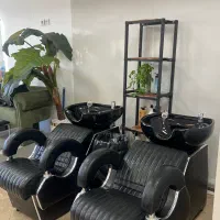 رنگ و مش کار حرفه ای