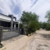 زمین سند تک برگ با قابلیت مجوز دامداری و کشاورزی