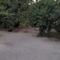 فروش باغچه/شهرکی/سندار/چسب بافت/آینده دار