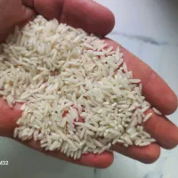 فروش شاه برنج هاشمی و هاشمی معمولی