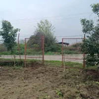 زمین باغی بندرگز ،گز غربی