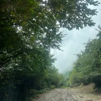 تور کمپی مازندران