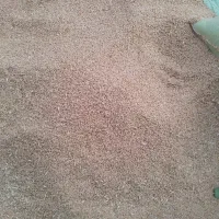 گندم دیم تمیز
