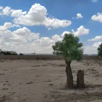 زمین1000متری-مناسب-باغچه-و-گلخانه-روستای-تقی-آباد