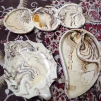 سینی سنگی نو مدل قشنگ برای دکوری به فروش میرود