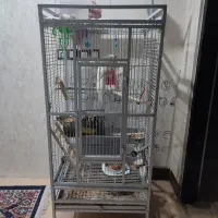 قفس پرندگان