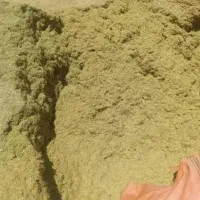کاه عدس درجه یک امسال