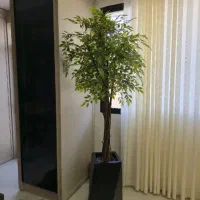 پخش کننده اصلی درختان مصنوعی در قم