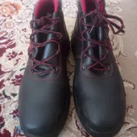 کفش کار نو