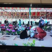 تلویزیون