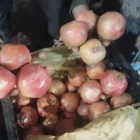 استخدام ۲ نیرو زرنگ مجرب و وقت شناس در میوه فروشی