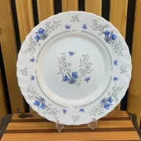 بشقاب پلوخوری آرکوپال  آبی مارک  پارس  اوپال اصلی