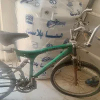 دوچرخه|دوچرخه، اسکیت، اسکوتر|شیراز, اصلاح‌نژاد|دیوار
