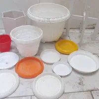 گل و گلدان