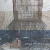 قفس پرنده