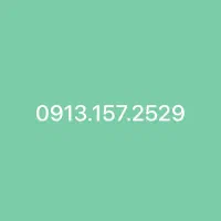 09131572529