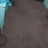 پالاز موکت