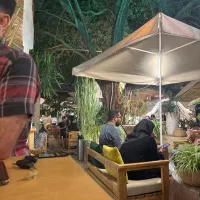 باریستا