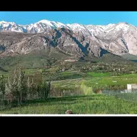 باغبانی صفرتا ۱۰۰