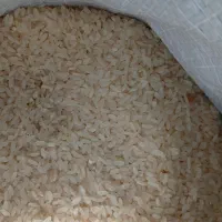 برنج درجه یک کامفیروزی