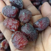 اینجا همیشه خرما هست