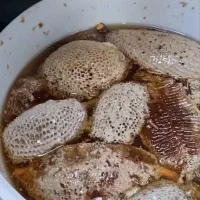 عسل وحشی