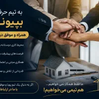 فرصت همکاری محدود با تیم حرفه‌ای