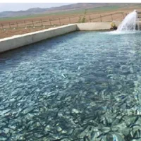 باغ کاملا محصور با استخر ماهی وچاه عمیق وساختمان
