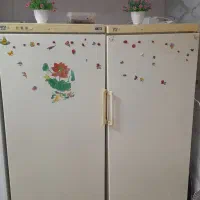 یخچال فریزر دوقولو باورت کار