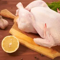 استخدام شاگرد مرغ فروشی(حقوق ۳۴)