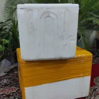 یخدون|ظروف نگهدارنده، پلاستیکی، یک‌بارمصرف|شادگان, |دیوار