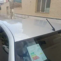 ۴۰۵ نقره ای