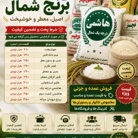 برنج شمال اصل شرط پخت و تضمین کیفیت