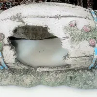 بشکه آکواریوم