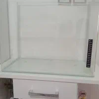 اکواریوم شیشه خم شرکتی درحدنو