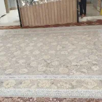 2عددقالی12متری