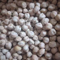 نخود ابگوشتی