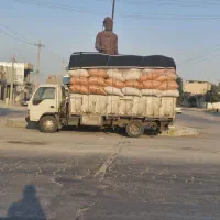 کاه گندم
