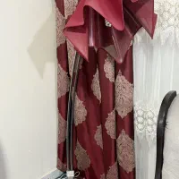 آباژور ایستاده.