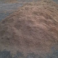 خوراک دام