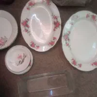 دیس پلوخوری و 5تابشقاب