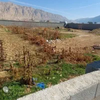 زمین باغ شهری