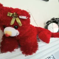 عروسک و مجسمه