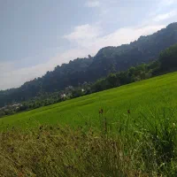 بدنبال زندگی با خانم تنها هستم