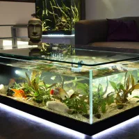 خدمات اکواریوم