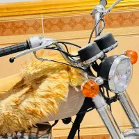 موتور سیکلت