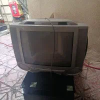 تلویزیون