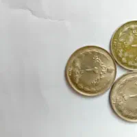 تعداد ۴۹ عدد سکه