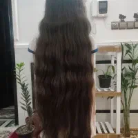 خریدار موی کیلویی و گرمی درکل استان