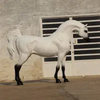 فروش اسب